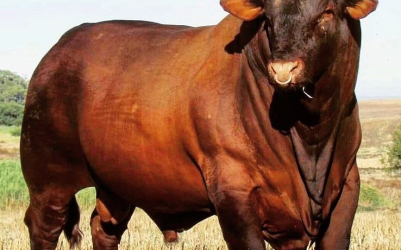 cdb42e3b50d353f361c3bea92eed56cd